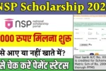 NSP Scholarship Payment Status 2025